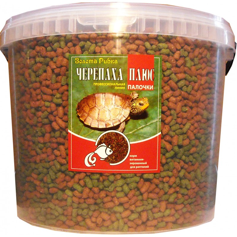 Черепаха Плюс